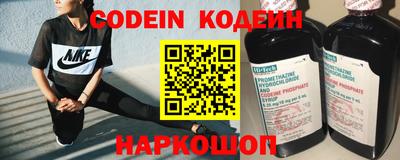 индика Обнинск