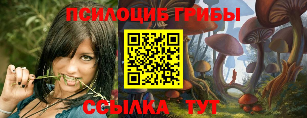 Полевской  Псилоцибиновые грибы мухоморы  цены   Вход с VPN 