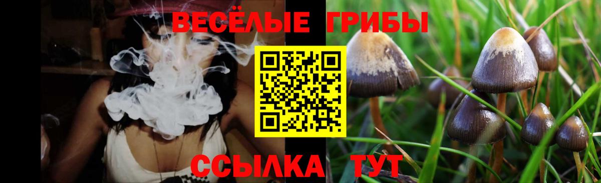 Псилоцибиновые грибы GOLDEN TEACHER Полевской